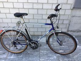 Kuwahara MTB by Mondia