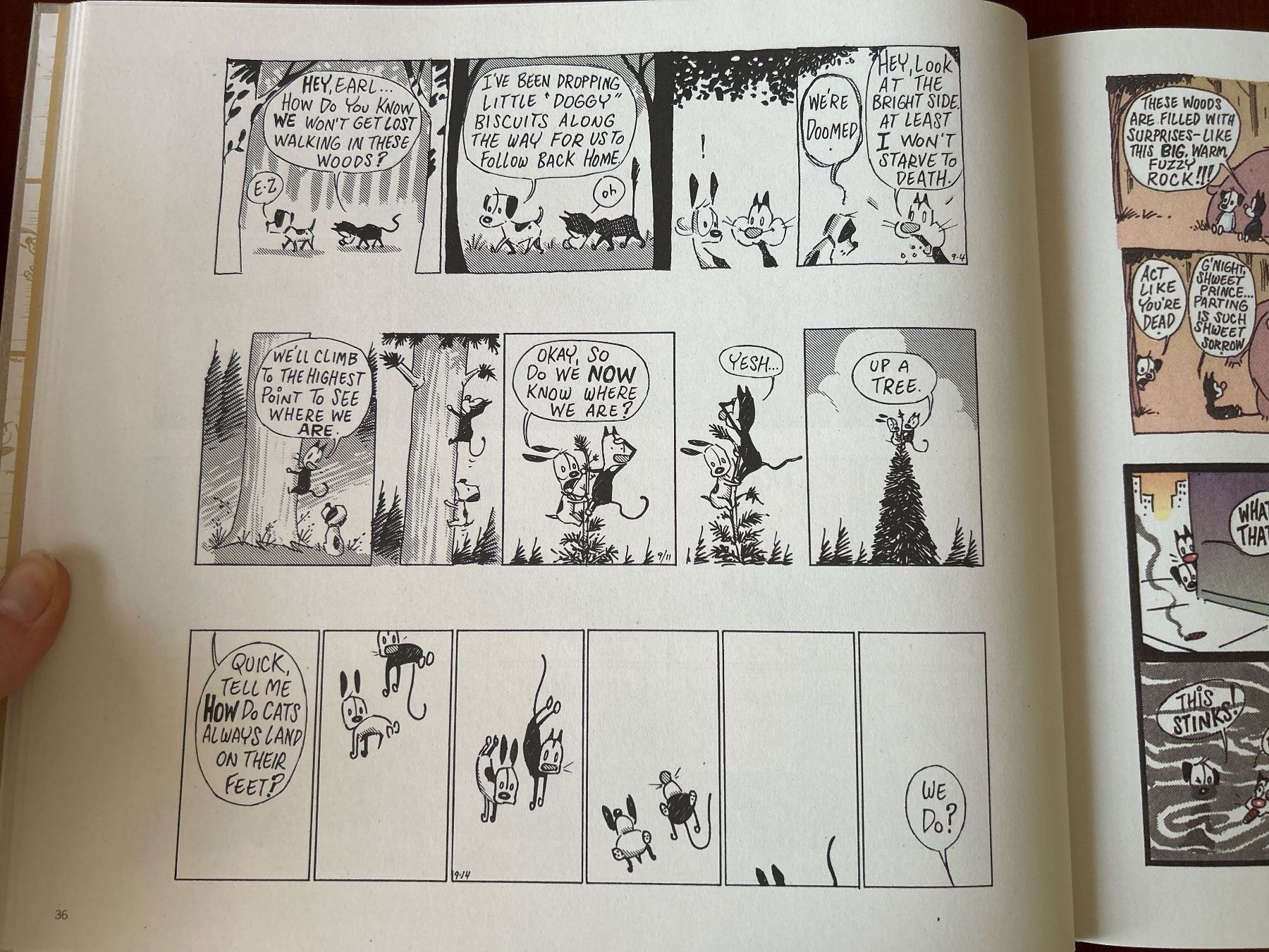 Fumetti: The best of Mutts - Patrick McDonnell – Usato da Benglen venduto da silversun79 5