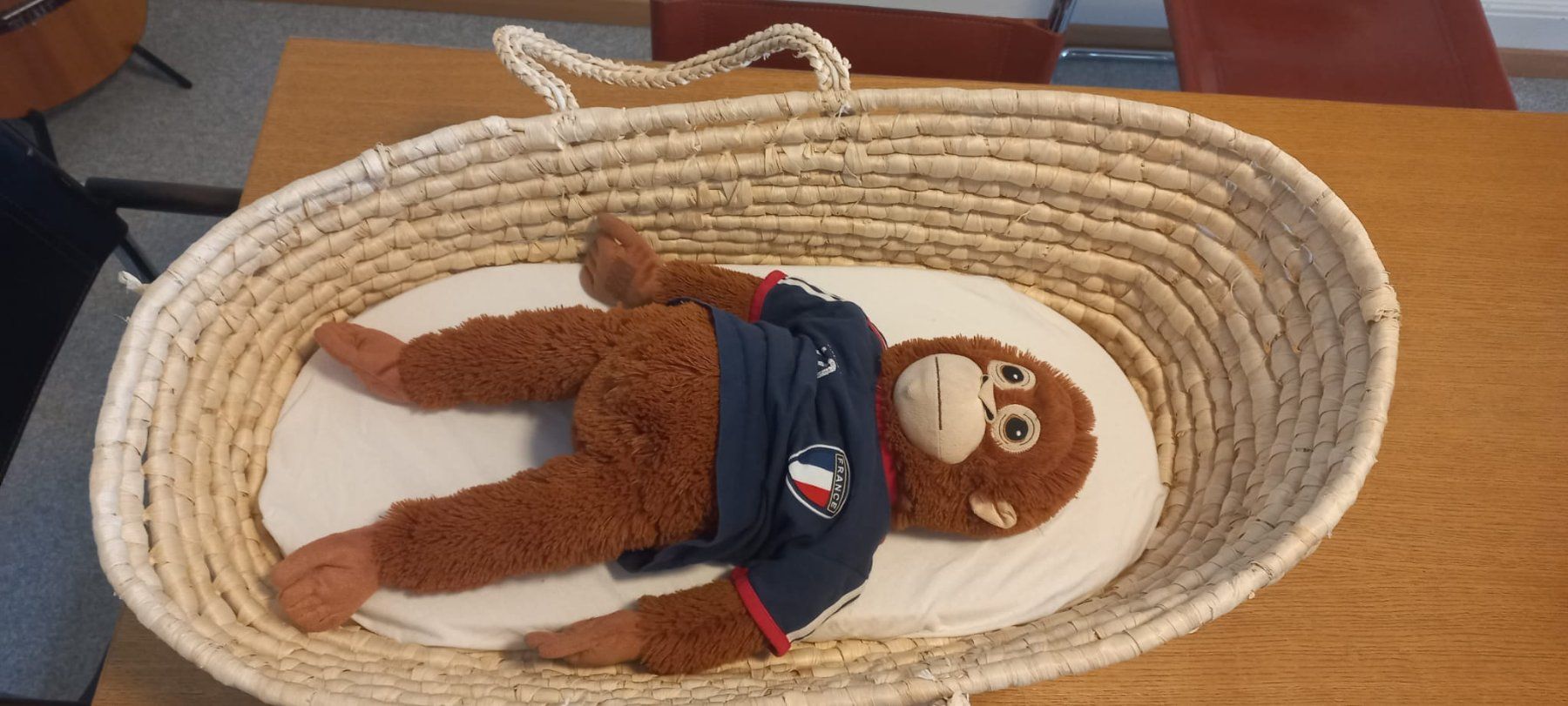 Betten: Bett-Korb-Baby – Gebraucht aus zürich von rundumwerken 1
