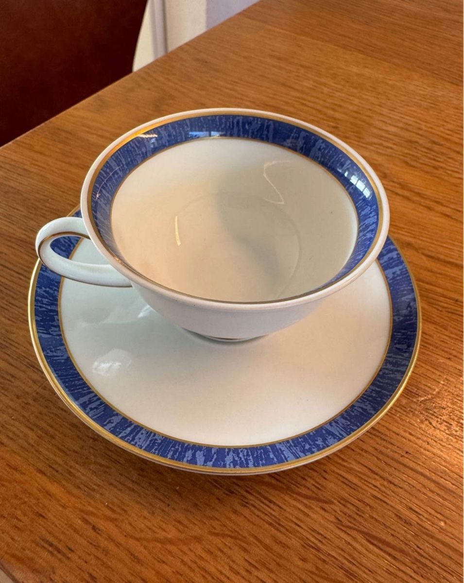 Rosenthal Tazze: Bavaria Rosenthal Kaffeetasse – Usato da Niederbüren venduto da poschti