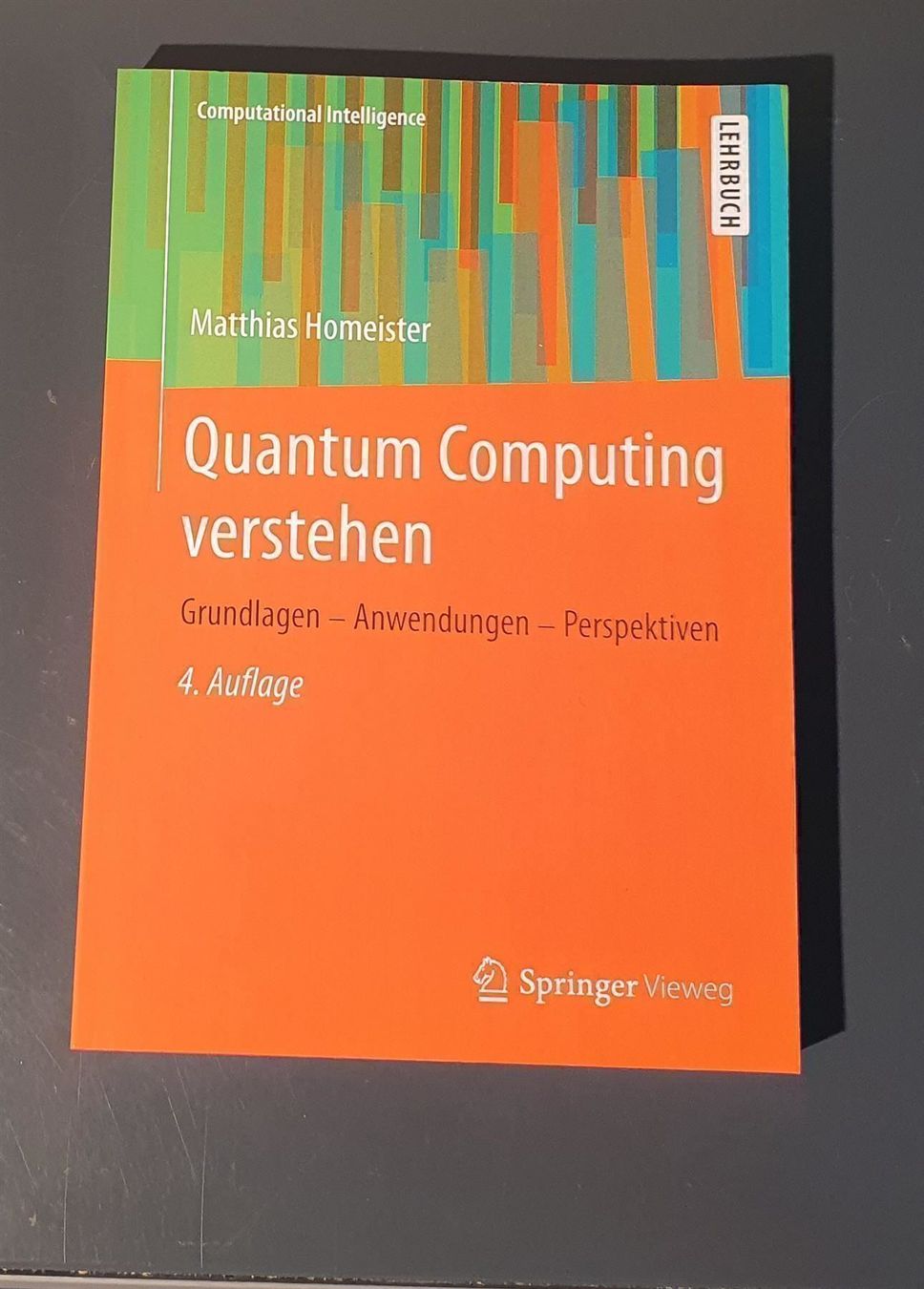 Libri: Quantum Computing verstehen – Usato da Dübendorf venduto da Povo 1