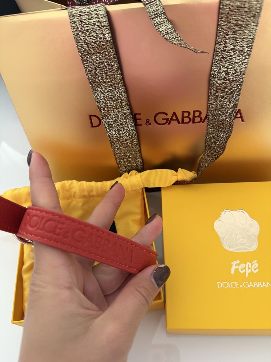 Guinzagli & Collari: D&G dog collar – Nuovo e nell'imballaggio originale da Fahrweid venduto da Stellar_times 1