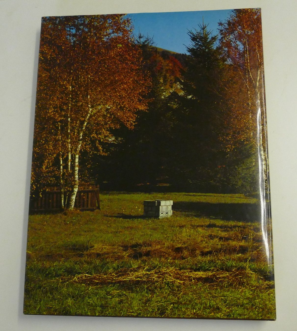 Libri: Buch – Usato da Dietlikon venduto da kes_j6d7 1