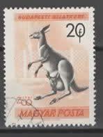 Ungarn / Magyar: KÄNGURUH    (12