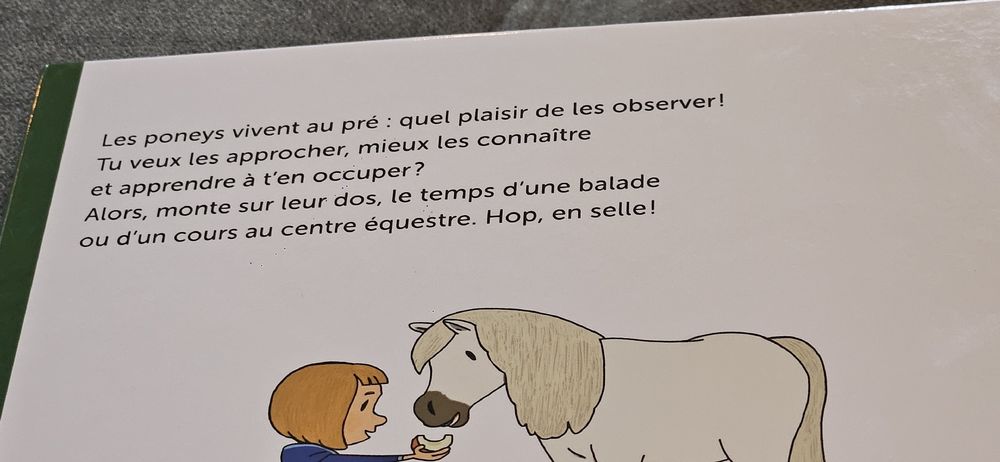 ruggito Arc-en-ciel à gratter pour enfants, 2 livres en papier arc-en-ciel avec 2 stylos, 4 motifs de peinture, pour enfants de 4 à 12 ans, garçons et filles, cadeau d'anniversaire, de fête