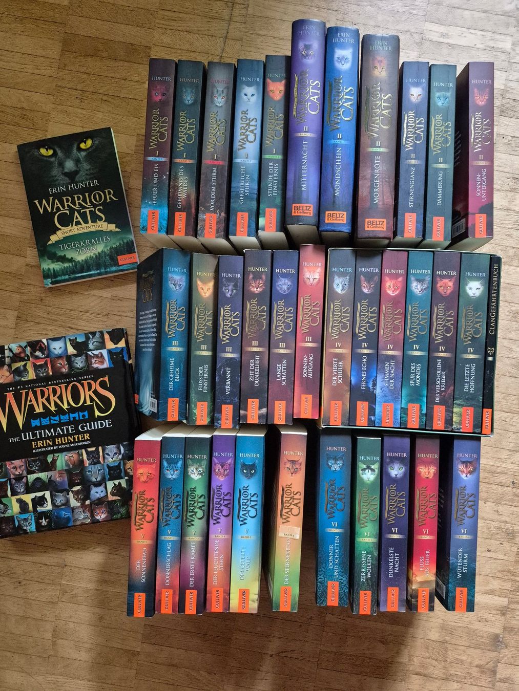 Libri: WARRIOR CATS (STAFFEL 1-6) – Usato da Zürich venduto da Fatpat