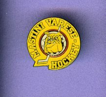 MASTINI VARESE HOCKEY