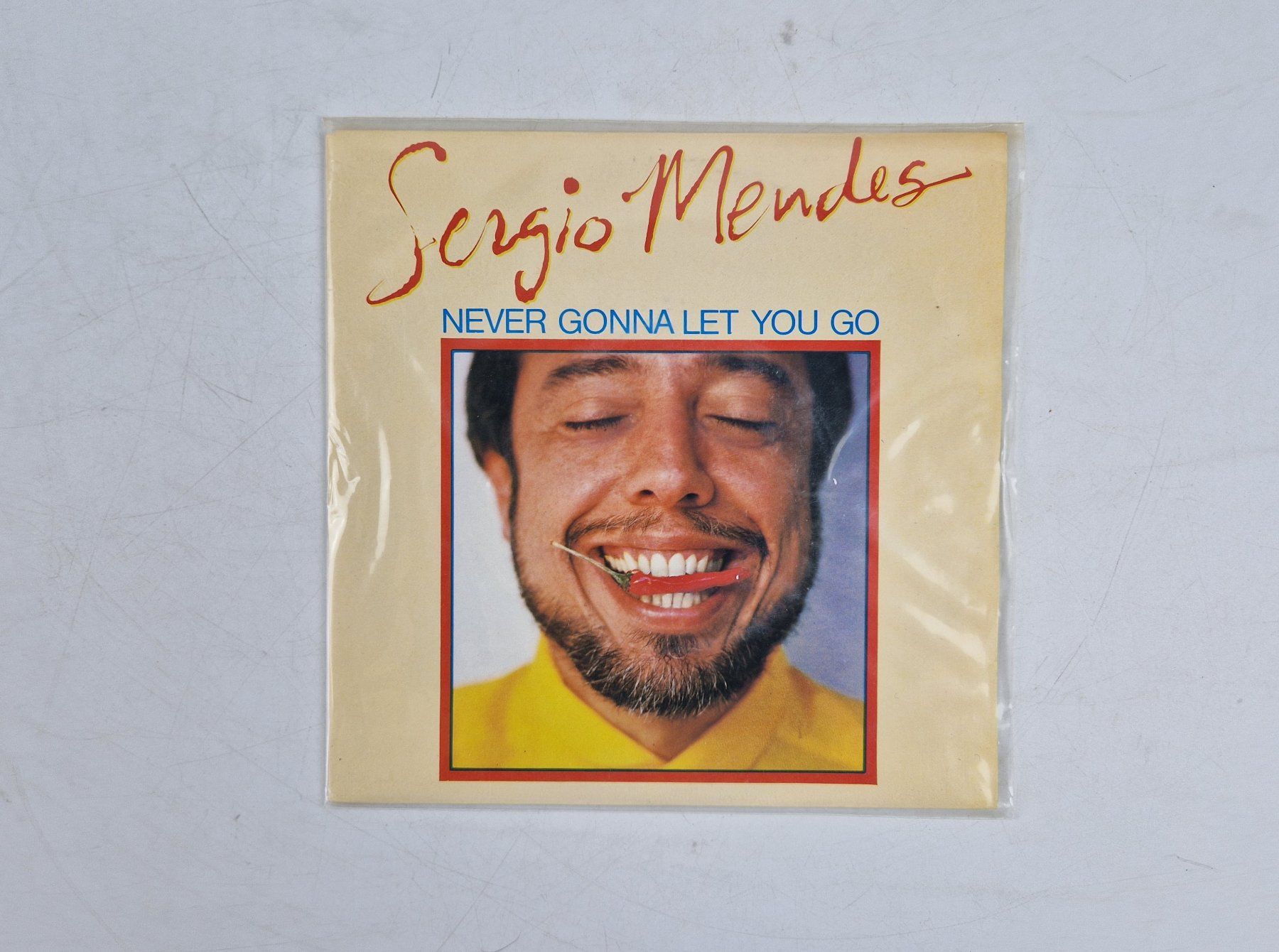 Dischi in vinile: Sergio Mendes (1 Single) – Usato da Muhen venduto da Restwert_Muhen