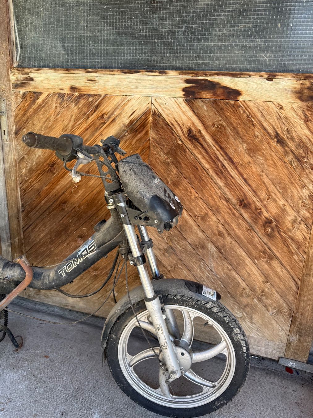 Tomos Ciclomotori: Tomos Töffli – Difettoso da Fahrni b. Thun venduto da Schneiderlein55 9