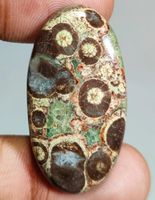 Cabochon L-8593 – Krokodil Jaspis 40X21X6mm 40 Karat