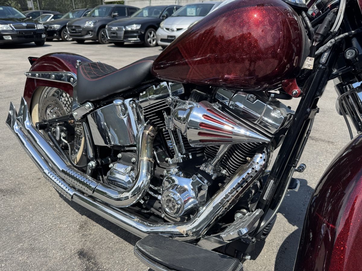 Harley-Davidson Cruisers: HARLEY-DAVIDSON FLSTC Softail – D'occasion à Chur par alt_lwl9 6