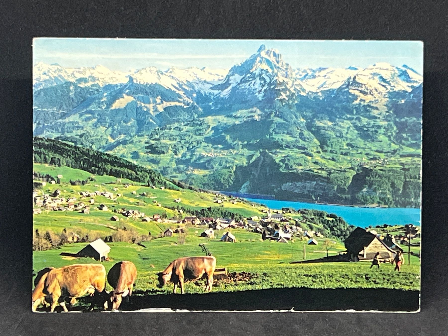 Cartoline postali: Ansichtskarte: Kurort Amden: Blick auf Walensee .... – Usato da Widnau venduto da Brusi9