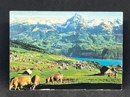 Ansichtskarte: Kurort Amden: Blick auf Walensee ....
