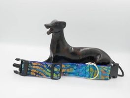 Colliers Lévriers Whippets 4 cm de large