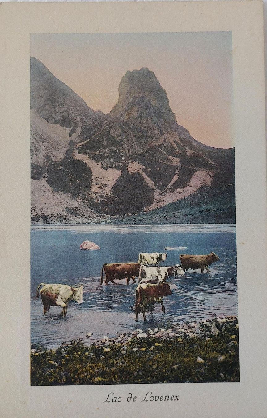 Cartoline postali: LOVENEX - LE  LAC – Usato da Delémont venduto da Domdom1