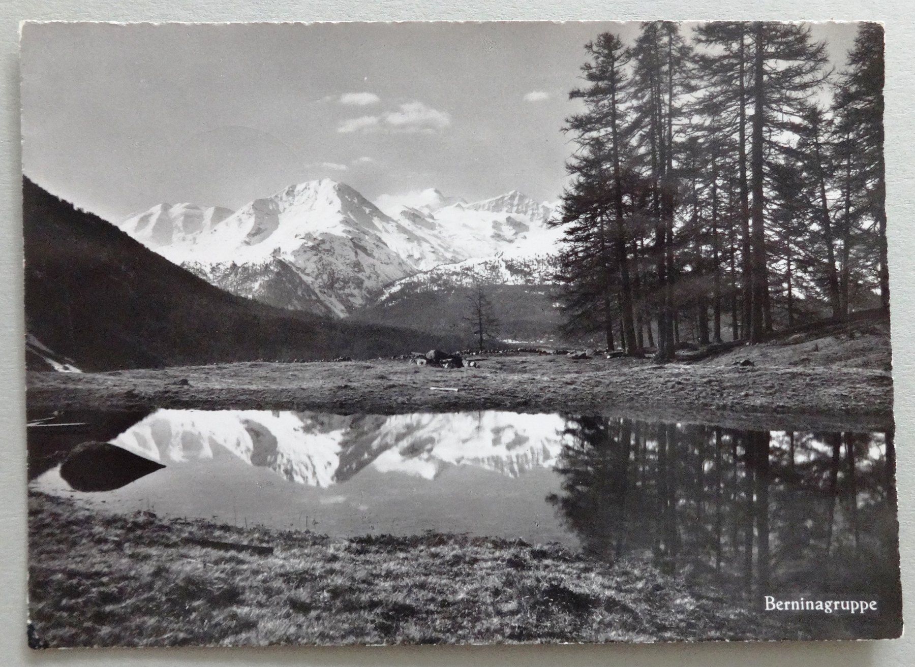Cartes postales: Berninagruppe – D'occasion à Fétigny par Billy2miny
