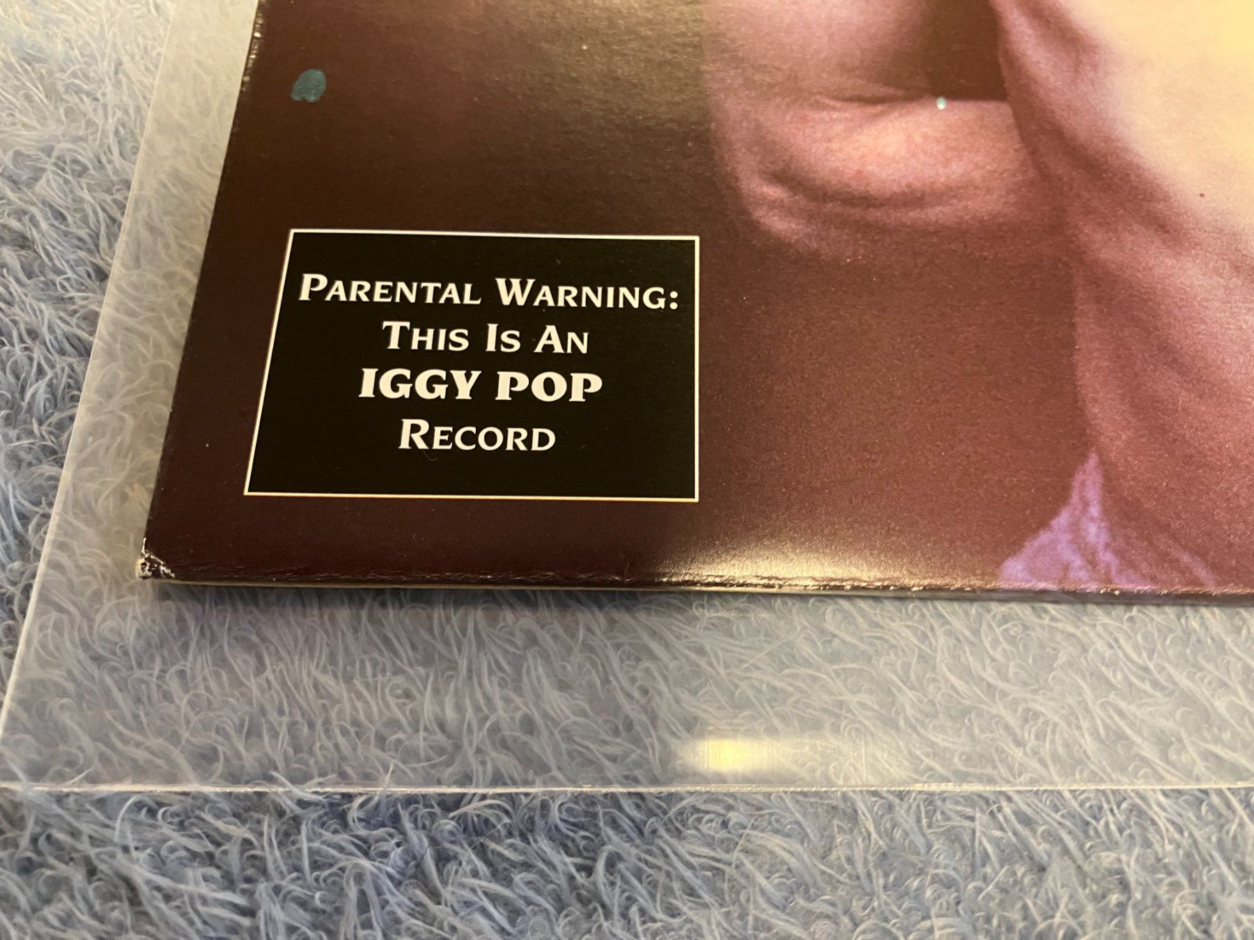 Dischi in vinile: Iggy Pop – Usato da Aarwangen venduto da Jukebox3 2