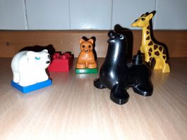 Lego Duplo Zoo Babys 2660 Klassiker