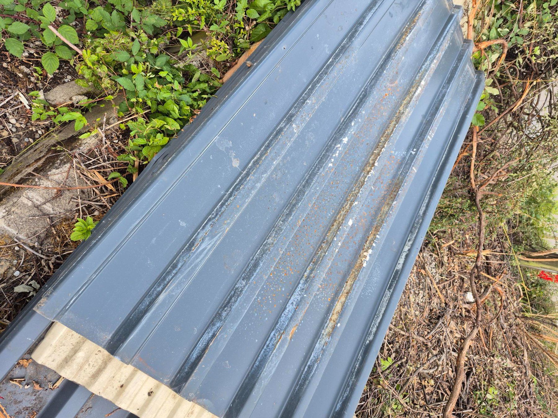 Piatti di portata: Wellblech Dachplatte Trapezblech – Usato da Basadingen venduto da tom300_5 3