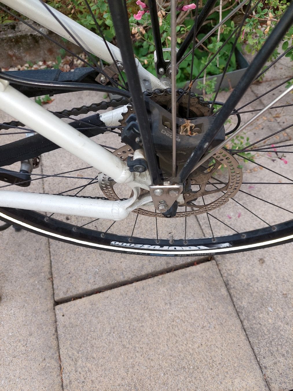 Velos: Damen Velo Scheller Speed Drive weiss mit Korb – Gebraucht aus Muttenz von bea_mmf9 2