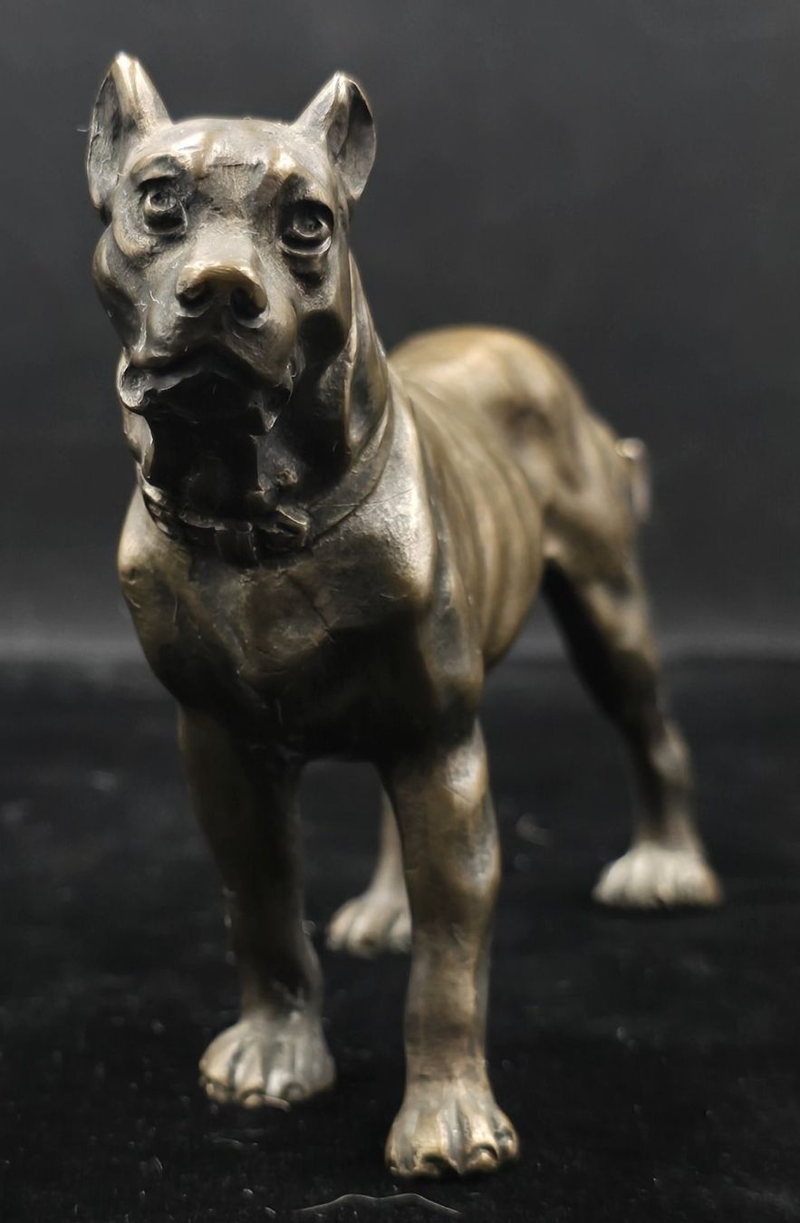Sculture & Statue: Bronze Figur Hund – Usato da Rorschacherberg venduto da snOOpydOg11 7