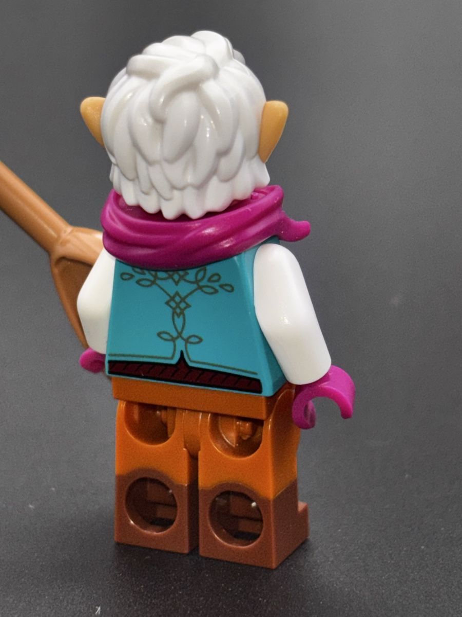 Lego Jouets: Lego Dungeons & Dragons Elf Bard (coldnd09) – D'occasion à Winterthur par Diwolf 2