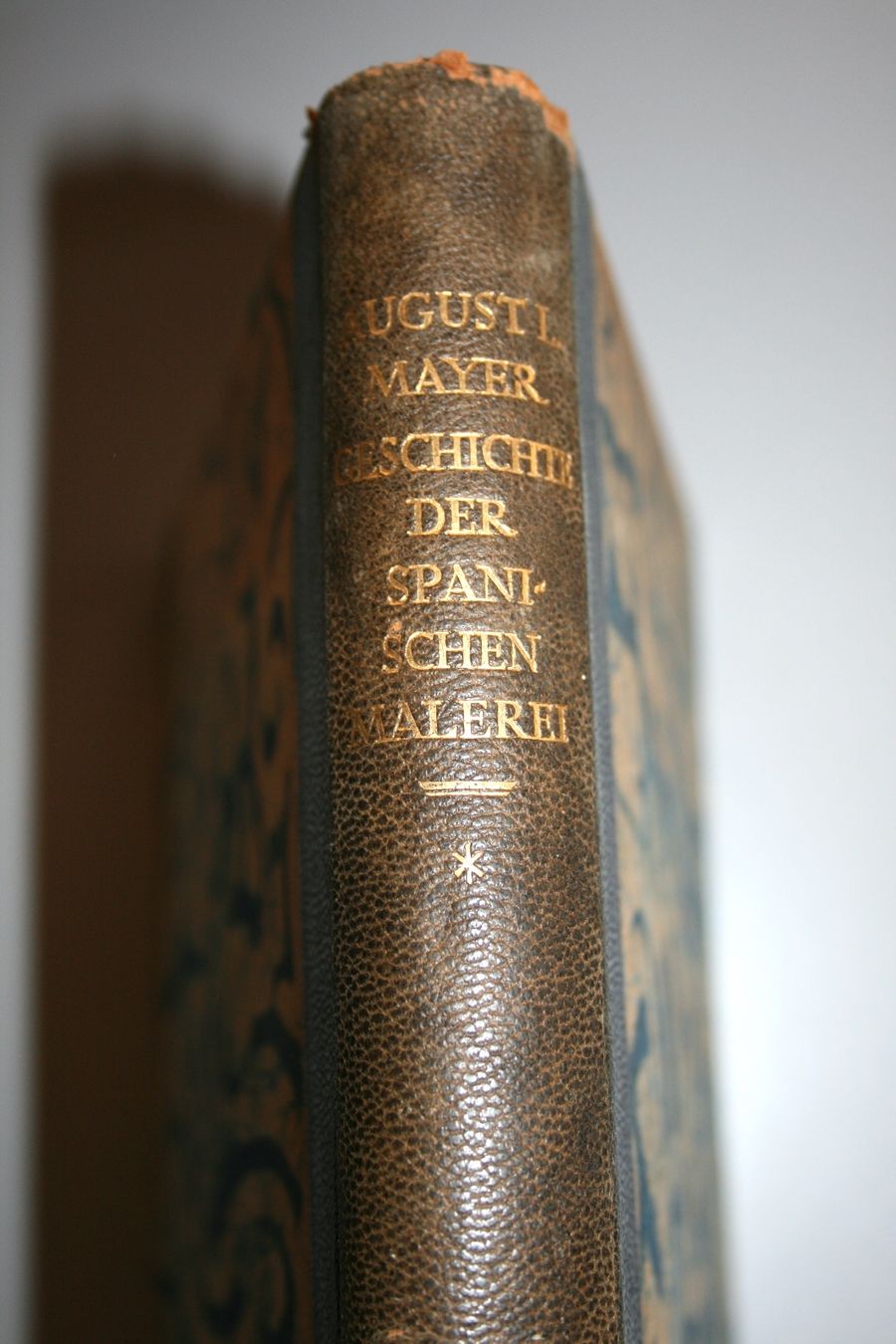 Libri: August Mayer: Geschichte der Spanischen Malerei, 1922 – Usato da Schaffhausen venduto da Kartenprofi 8
