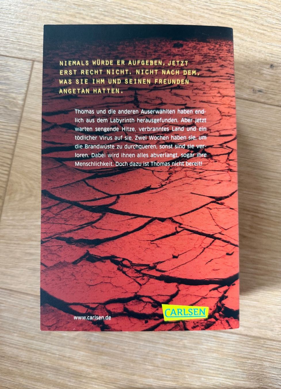 Libri: Maze Runner Serie von James Dashner – Usato da Thun venduto da cel_5dvh 2