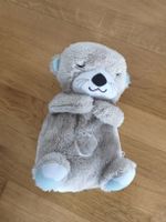 Fisher-Price Schlummer-Otter