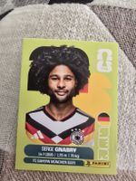 Panini WM26 GER16 Serge Gnabrv