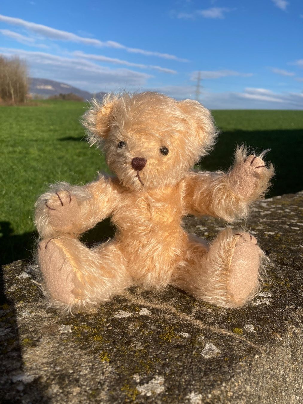 Giocattoli: Teddy Teddybär mit handgestricktem Pullover+Jupe handgenäht – Usato da Subingen venduto da Etageren 2