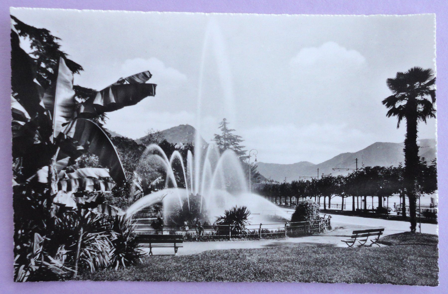 Ansichtskarten: Lugano, Giardini pubblici – Gebraucht aus Fétigny von Billy2miny