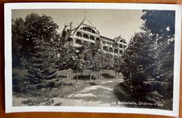 Château - d'Oex - La Soldanelle - Belle carte ancienne