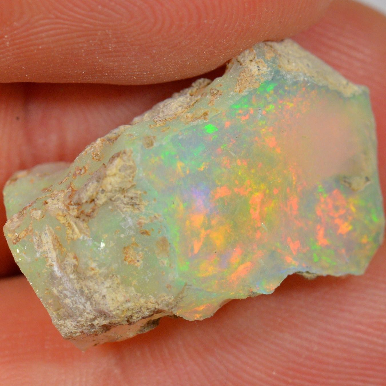 Pietre preziose: 15.8 Karat - Roher Äthiopischer Welo Opal – Nuovo (secondo la descrizione) da Rüti ZH venduto da DeinOpal