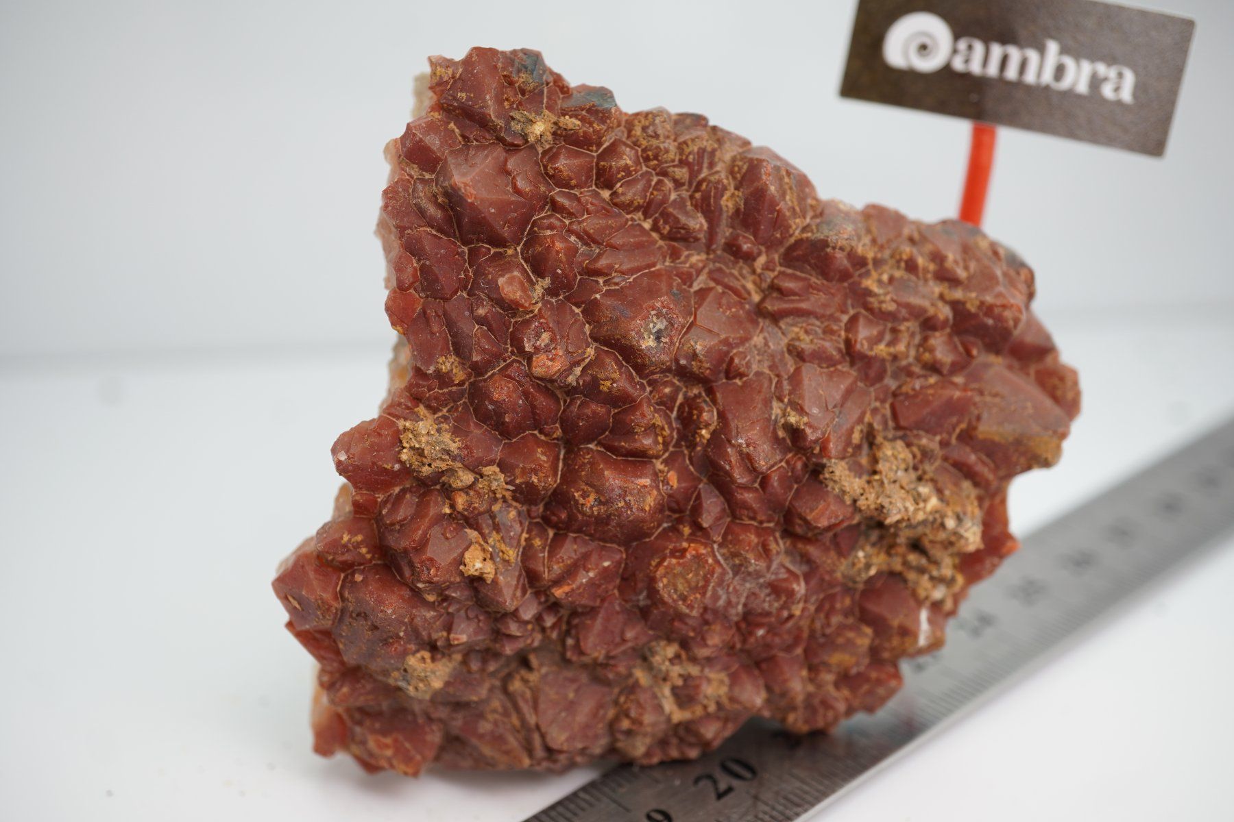 Minéraux & Lithothérapie: Mondolith   Igel   Stufe   7cm    Rar – Neuf avec emballage d'origine à Eschenbach SG par topstone 2