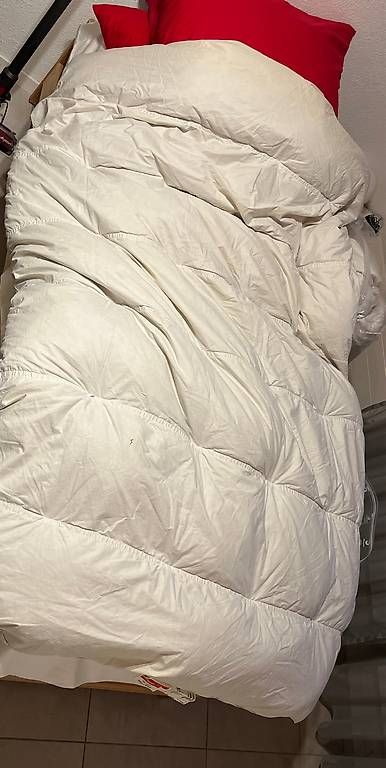 Coperte: 2 Daunenduvet und Kissen – Usato da Horgen venduto da fab_8vh7