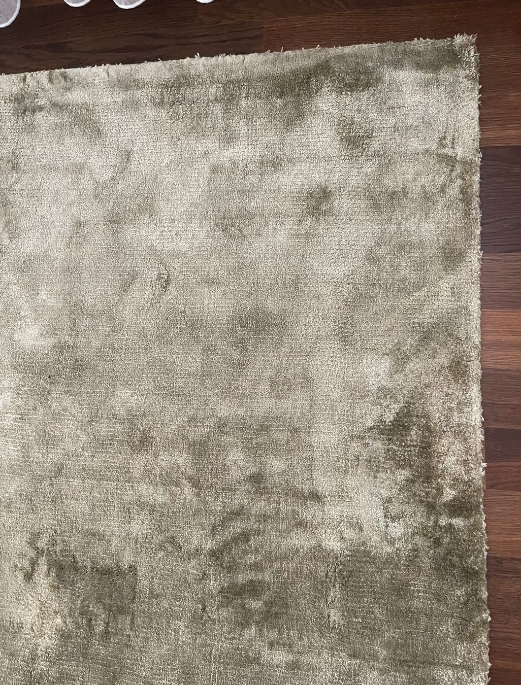 Tappeti: Viskose teppich oliv – Usato da Dietikon venduto da flu_y68z 2