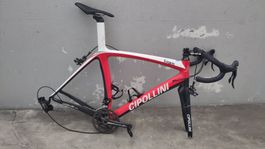 Cipollini Logos mit Campagnolo - für Bastler - ohne Räder