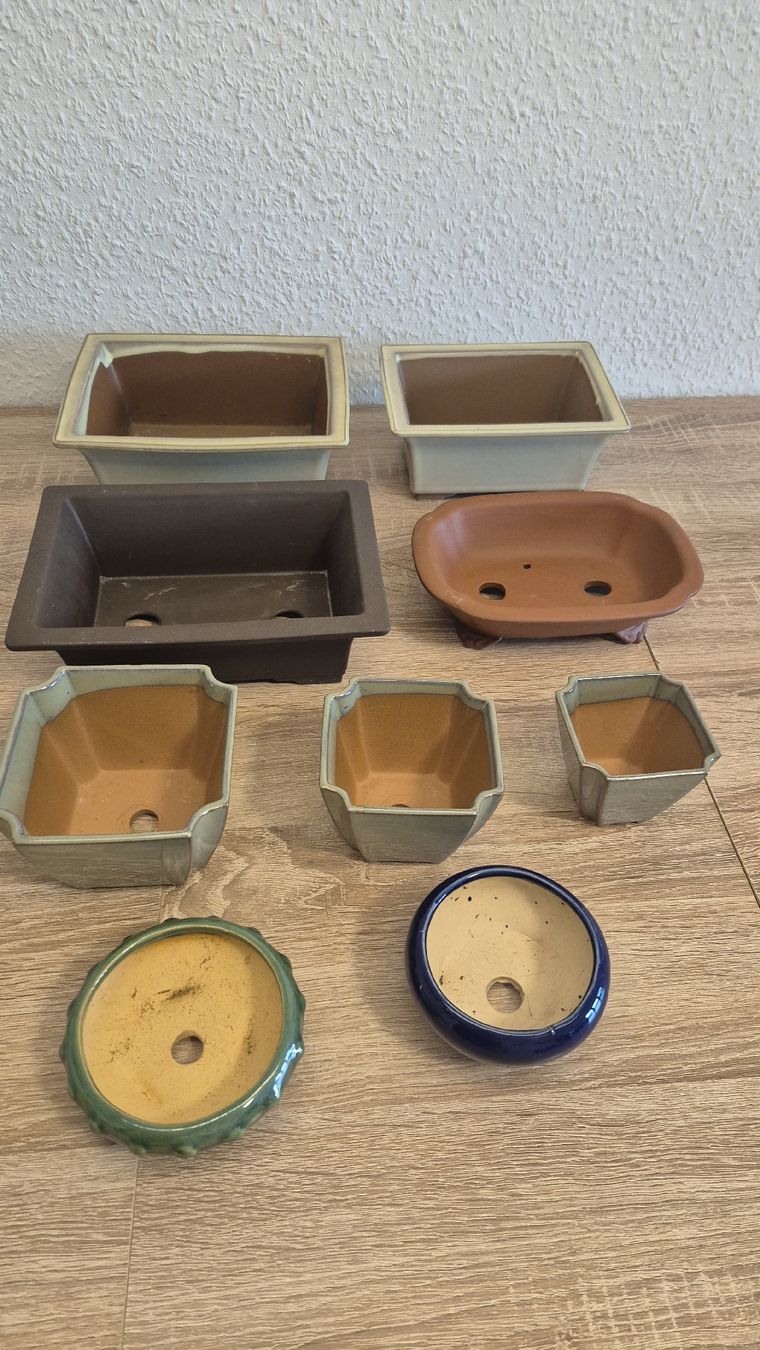 Vasi & Recipienti: 9 bonsaischale/vasi bonsai/pots – Nuovo (secondo la descrizione) da Veyrier venduto da per_c6sz