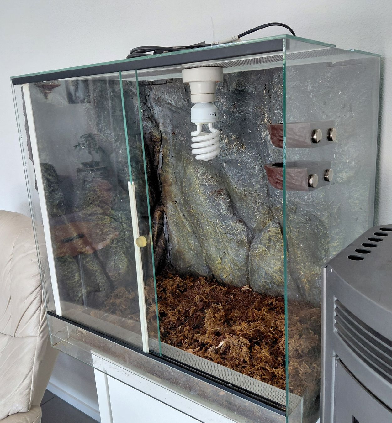 Terrario: Terrarium  – Usato da Oftringen venduto da ktv_89g9 1