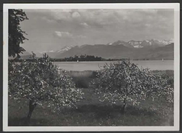 Ansichtskarten: RAPPERSWIL  1939  (I – Gebraucht aus Ruggell von Masescha