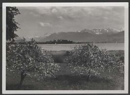 RAPPERSWIL  1939  (I