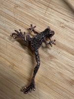 Frosch Brosche bronce mit Strassteinen