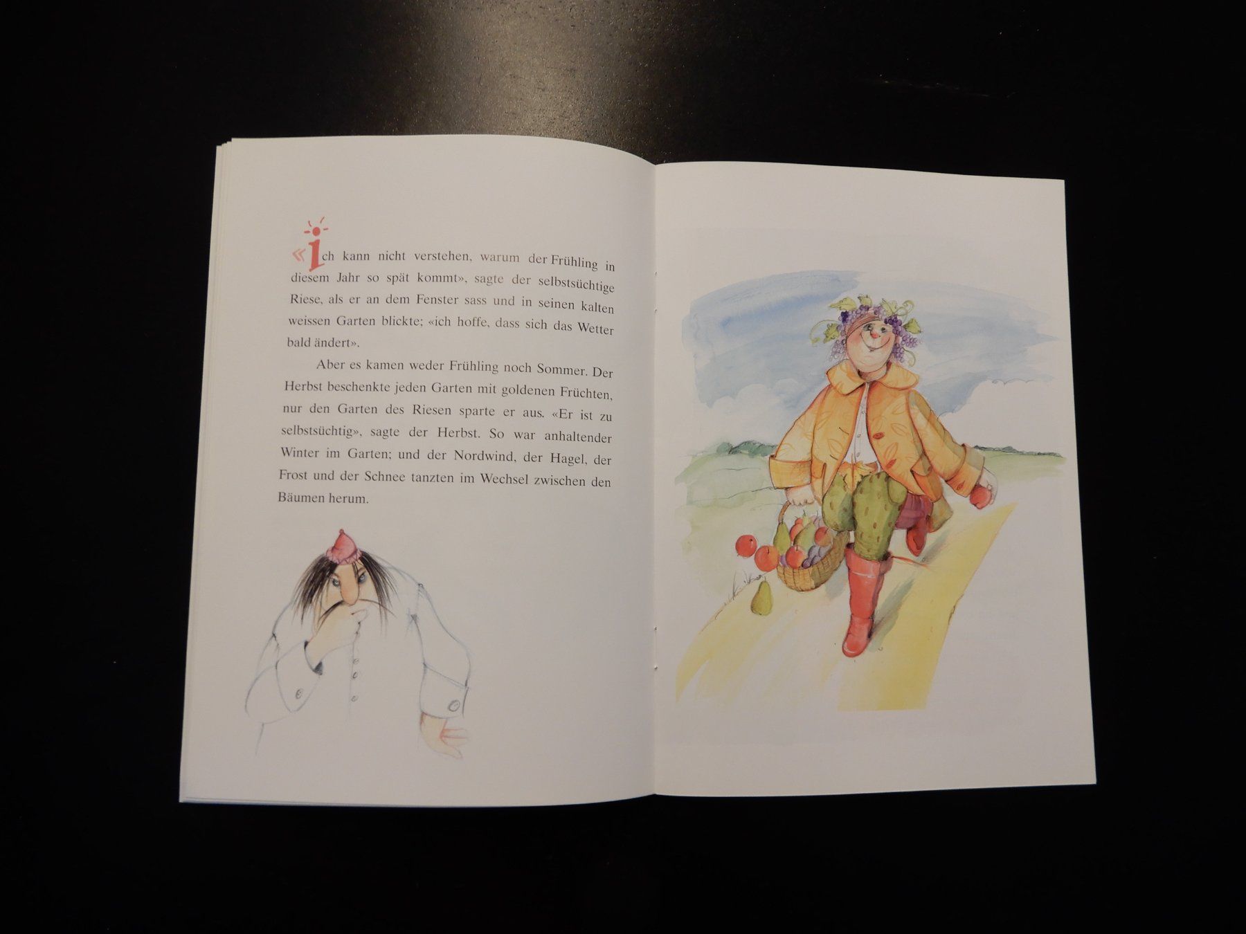 Libri: Der selbstsüchtige Riese - Kinderbuch – Usato da Erstfeld venduto da Mario_boe0 6