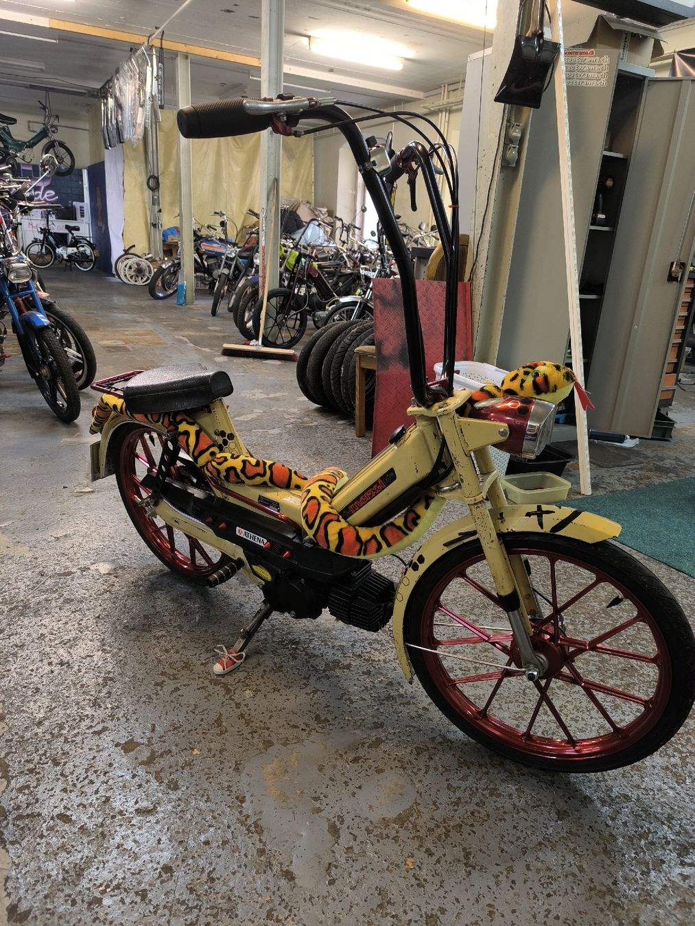 Puch Mofas: Puch Maxi S Custom – Gebraucht aus Münchwilen TG von Denso33 1