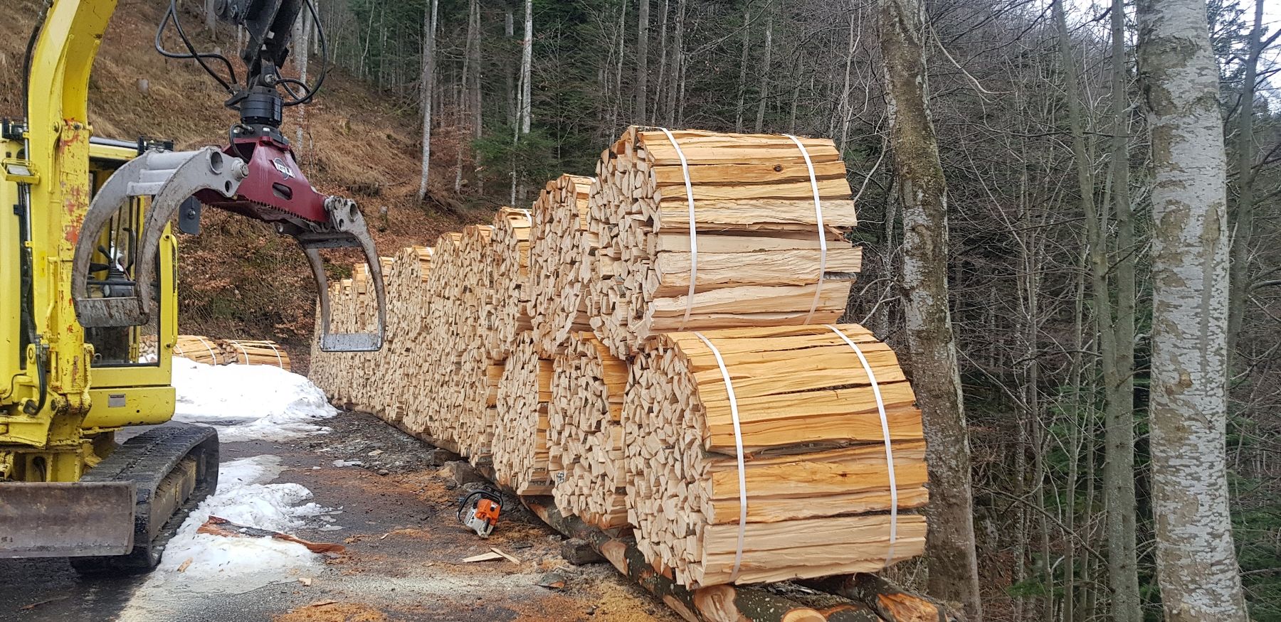 Holzartikel: Brennholz Buche ideal als Chemineeholz – Neu (gemäss Beschreibung) aus Sachseln von BrownSwiss6