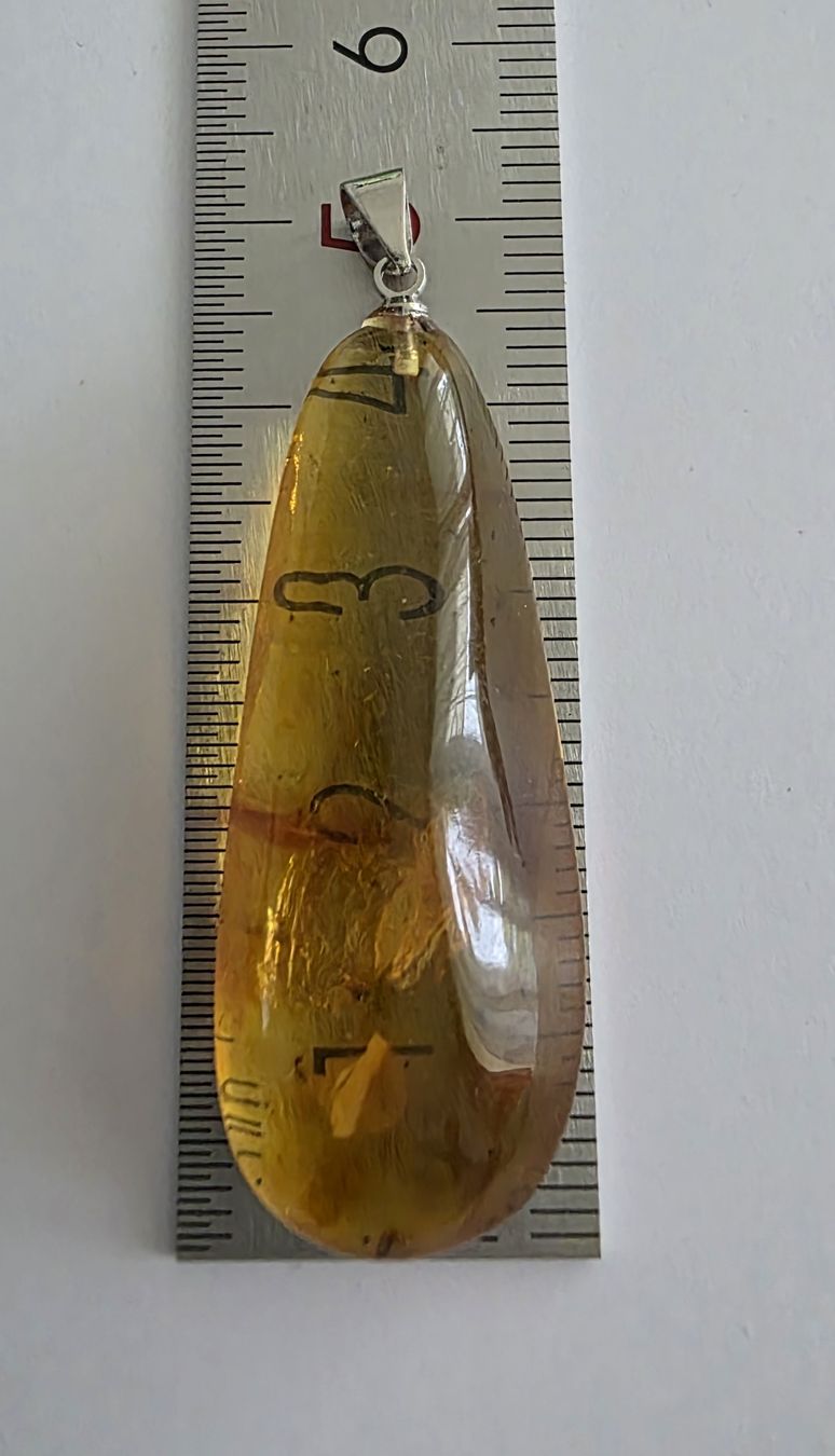 Rimorchi: Bernstein-Anhänger ca. 5x1,7cm. – Nuovo e nell'imballaggio originale da Menziken venduto da Mirager 5