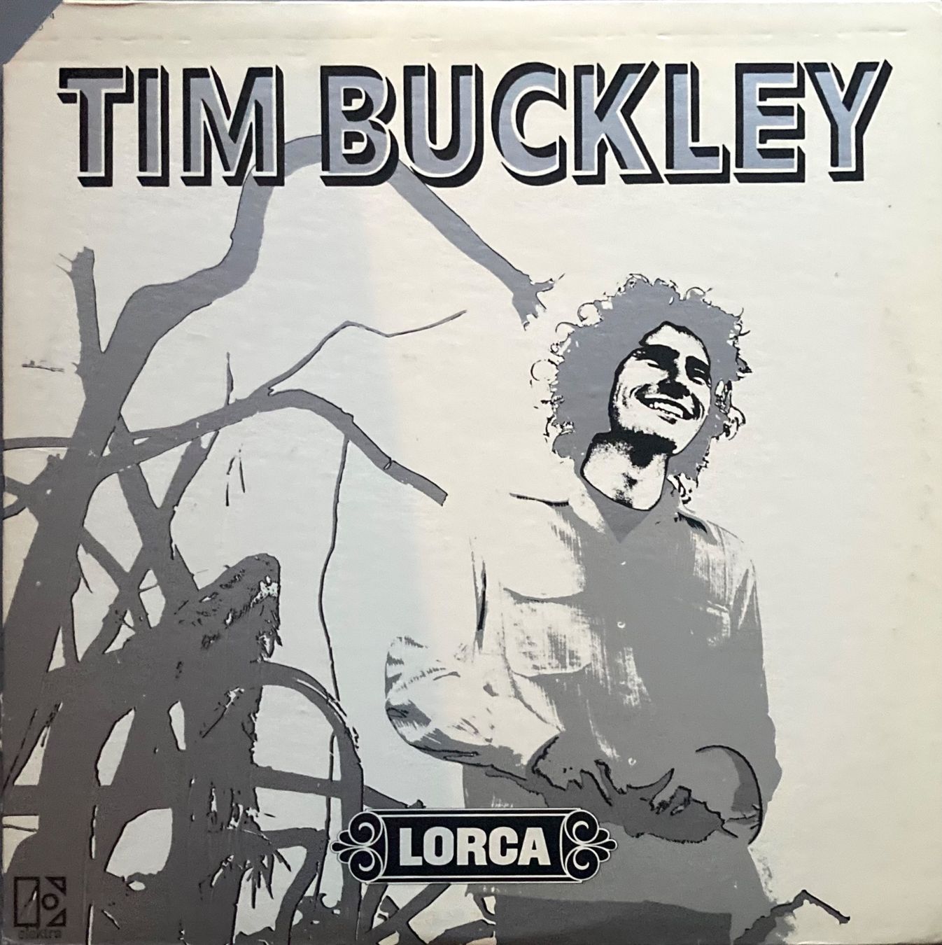 Vinyles: TIM BUCKLEY - LORCA – D'occasion à Poliez-Pittet par Newtown-Records
