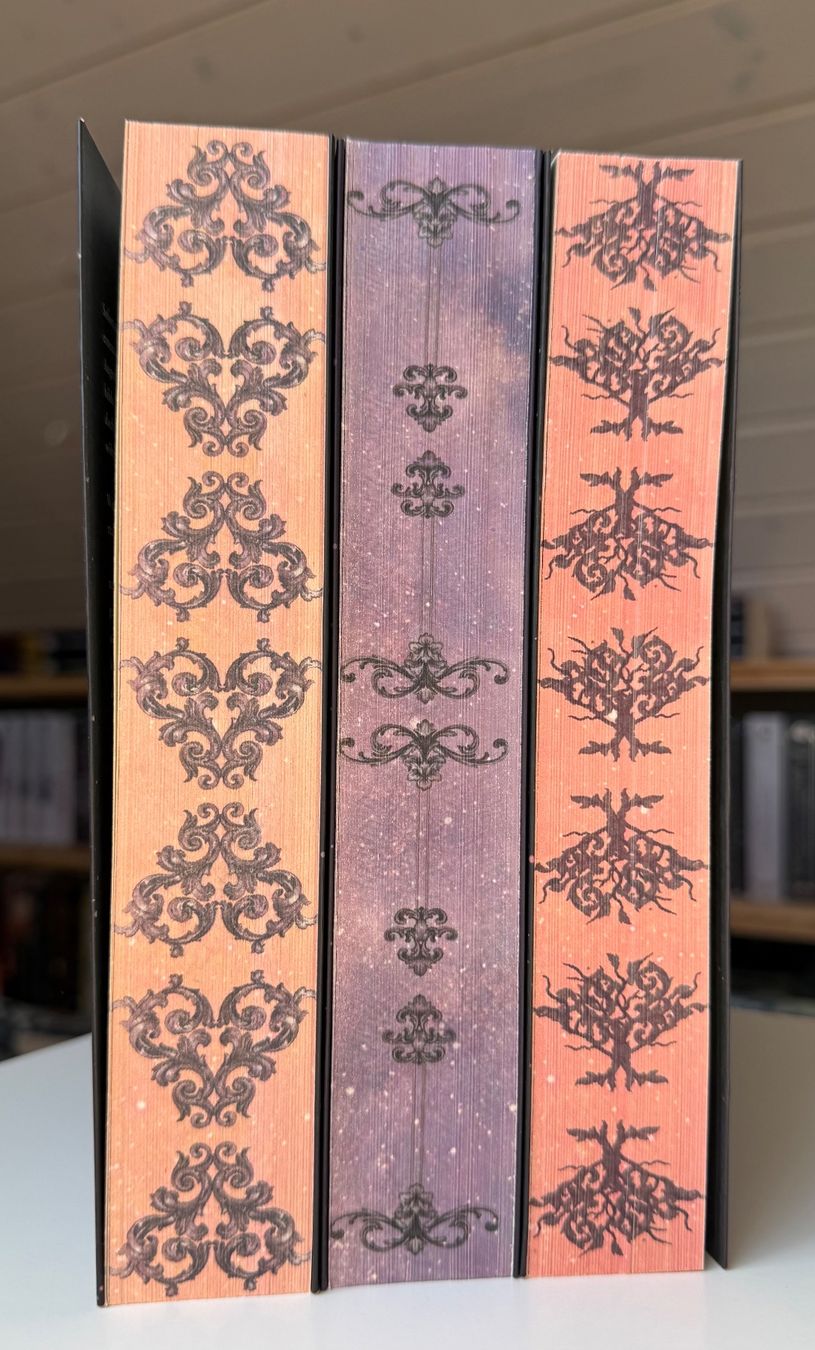 Libri: "Once upon a broken heart" - Stephanie Garber – Nuovo (secondo la descrizione) da Eichberg venduto da Lolapop18 2