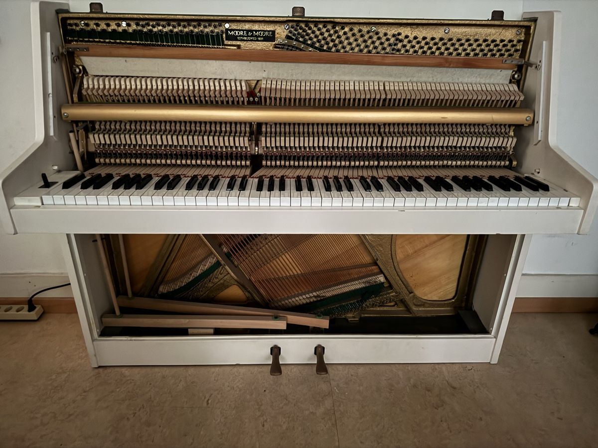 Mooer Instruments de musique: Klavier Moore&Moore – D'occasion à Zürich par cch_r6xd